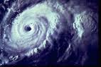 Florida Hurrican Safety